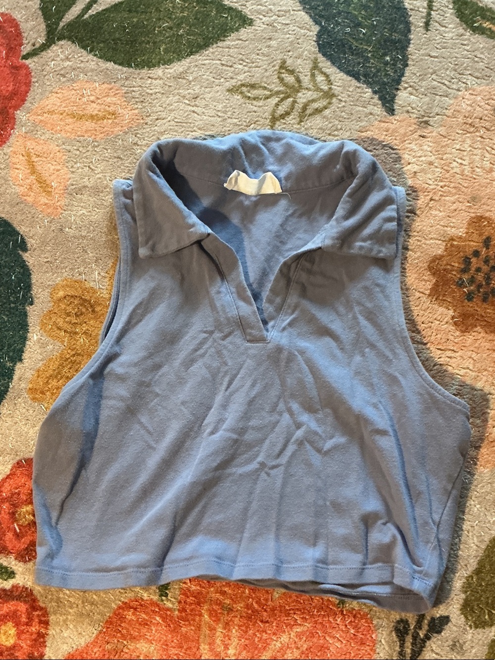 Double Zero Sleeveless Collared Crop Top - Dusty Blue